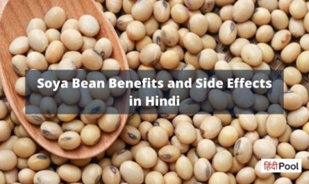 Soya Bean Benefits and Side Effects in Hindi