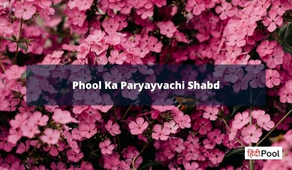 Phool Ka Paryayvachi Shabd