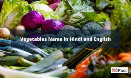 Vegetables Name in Hindi and English