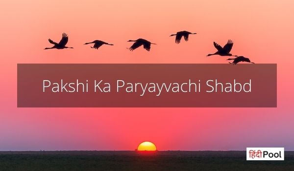 Pakshi Ka Paryayvachi Shabd