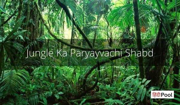 Jungle Ka Paryayvachi Shabd