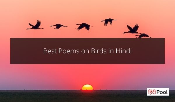 Poem on Birds in Hindi