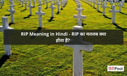 RIP Meaning in Hindi