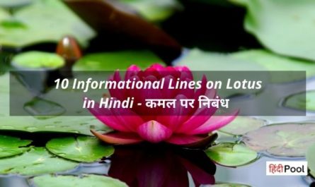 10 Informational Lines on Lotus in Hindi