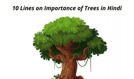 10 Lines on Importance of Trees in Hindi