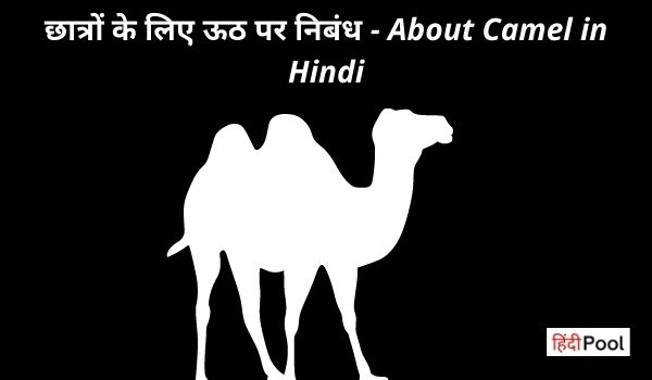 छात्रों के लिए ऊठ पर निबंध – About Camel in Hindi