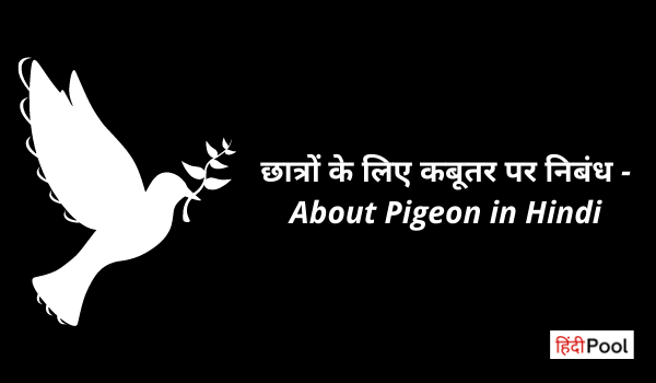 छात्रों के लिए कबूतर पर निबंध – About Pigeon in Hindi