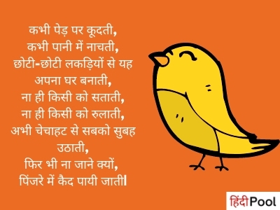 Hindi Birds Poem