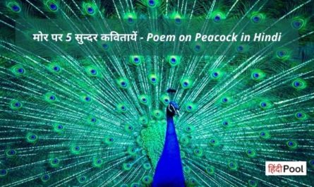 Poem on Peacock in Hindi