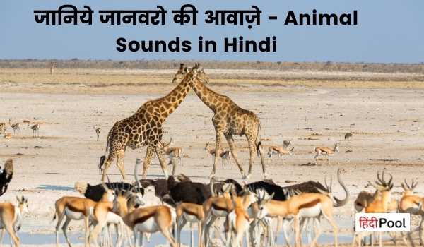 जानिये जानवरो की आवाज़े – Animal Sounds in Hindi