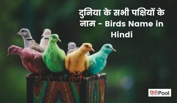 दुनिया के सभी पक्षियों के नाम – Birds Name in Hindi